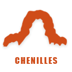Chenilles processionnaires