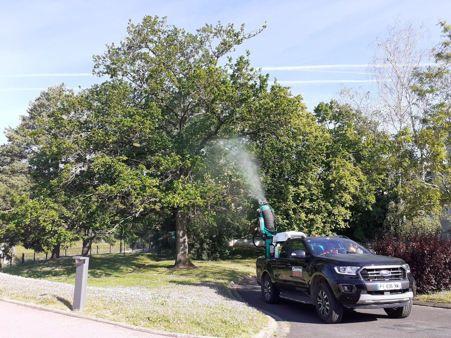 Camion atomiseur de Chartres Nuisibles traitant un chêne contre la chenille processionnaire
