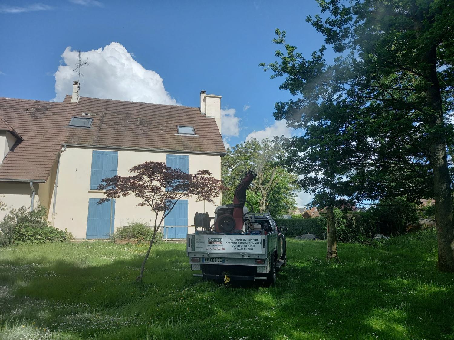 Traitement des chenilles processionnaires chez un particulier en Eure-et-Loir