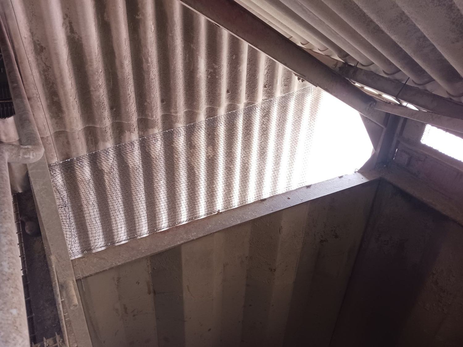 Chantier de pose de filets anti-pigeons par Chartres Nuisibles