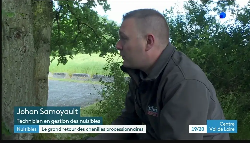 Johan Samoyault, technicien Chartres Nuisibles, interviewé par France 3 sur les chenilles processionnaires