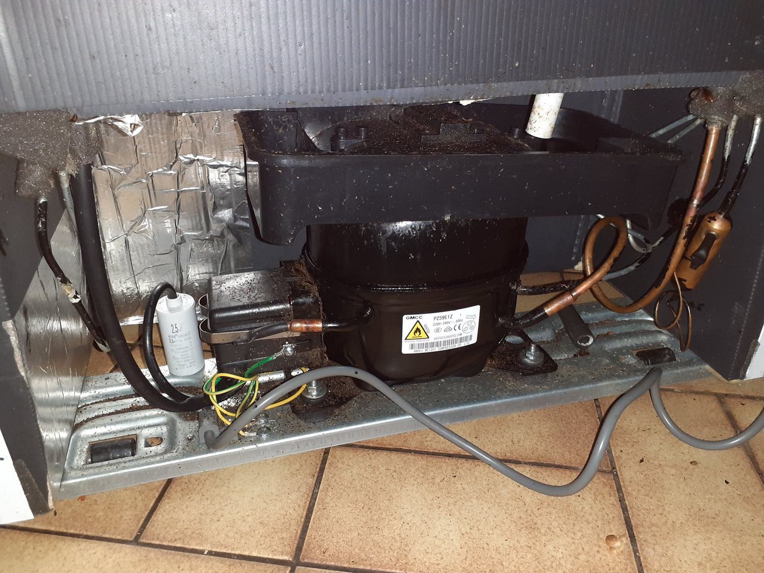 Les blattes — infestation arriere frigo · intervention Chartres Nuisibles en Eure-et-Loir