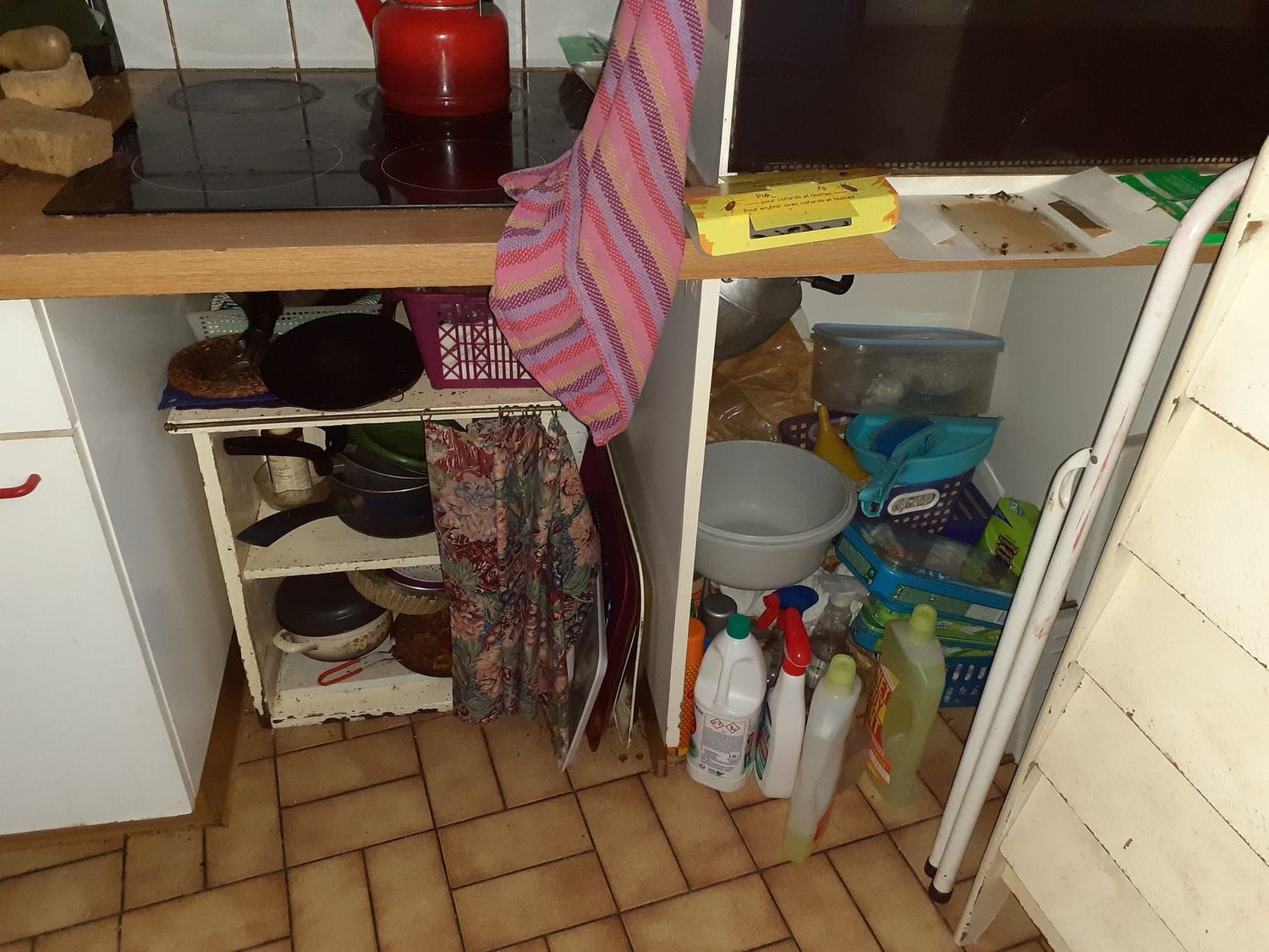 Les blattes — piege cafards cuisine · intervention Chartres Nuisibles en Eure-et-Loir