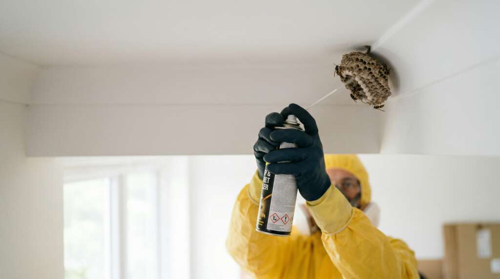 Désinsectisation Chartres : Traitement Anti-Insectes 24h/24